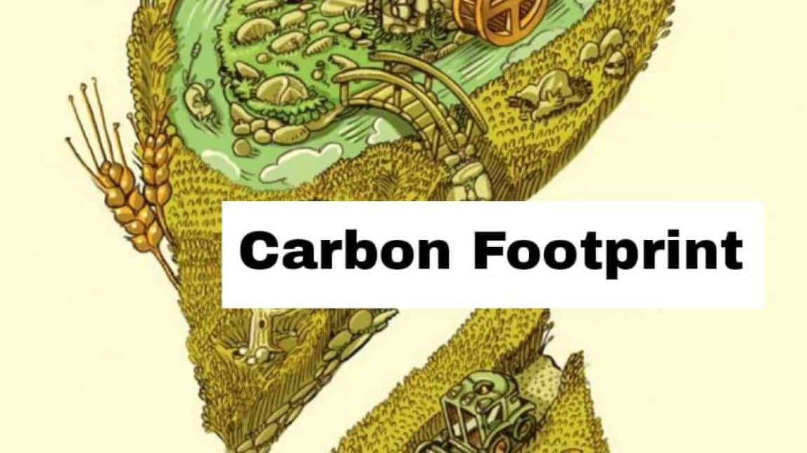 STEAM ''Carbon Footpint'' Projesi Poster Seçimi